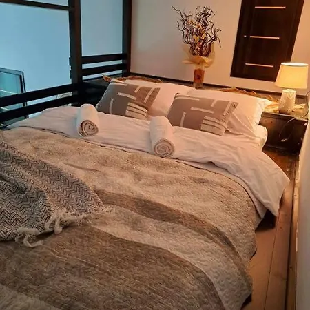 Sofia's Comfy Studio In The Old Town Braşov