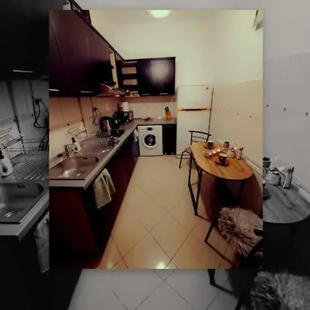 Sofia's Comfy Studio In The Old Town Braşov