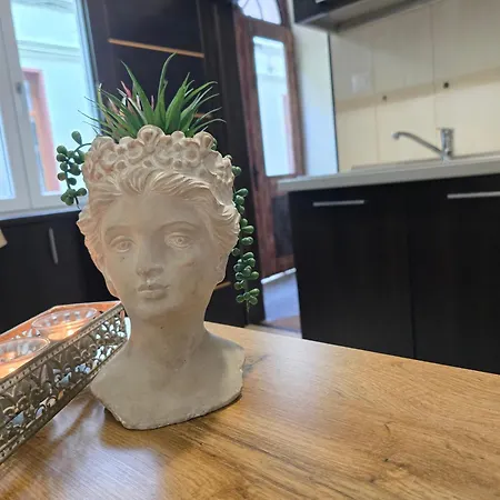 Sofia's Comfy In The Old Town *