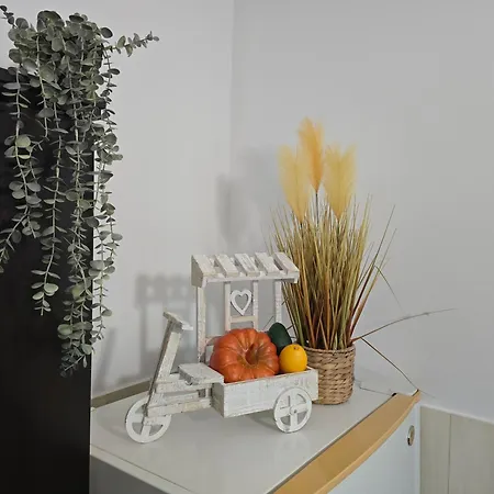 Sofia's Comfy In The Old Town Appartement Braşov