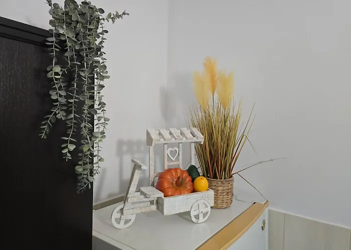 Sofia's Comfy In The Old Town Appartement Braşov