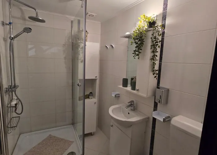 Sofia's Comfy In The Old Town * Braşov